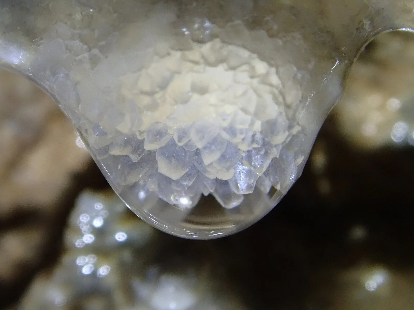 Concrezioni e acqua nelle sale della Grotta del Vento, a Fornovolasco